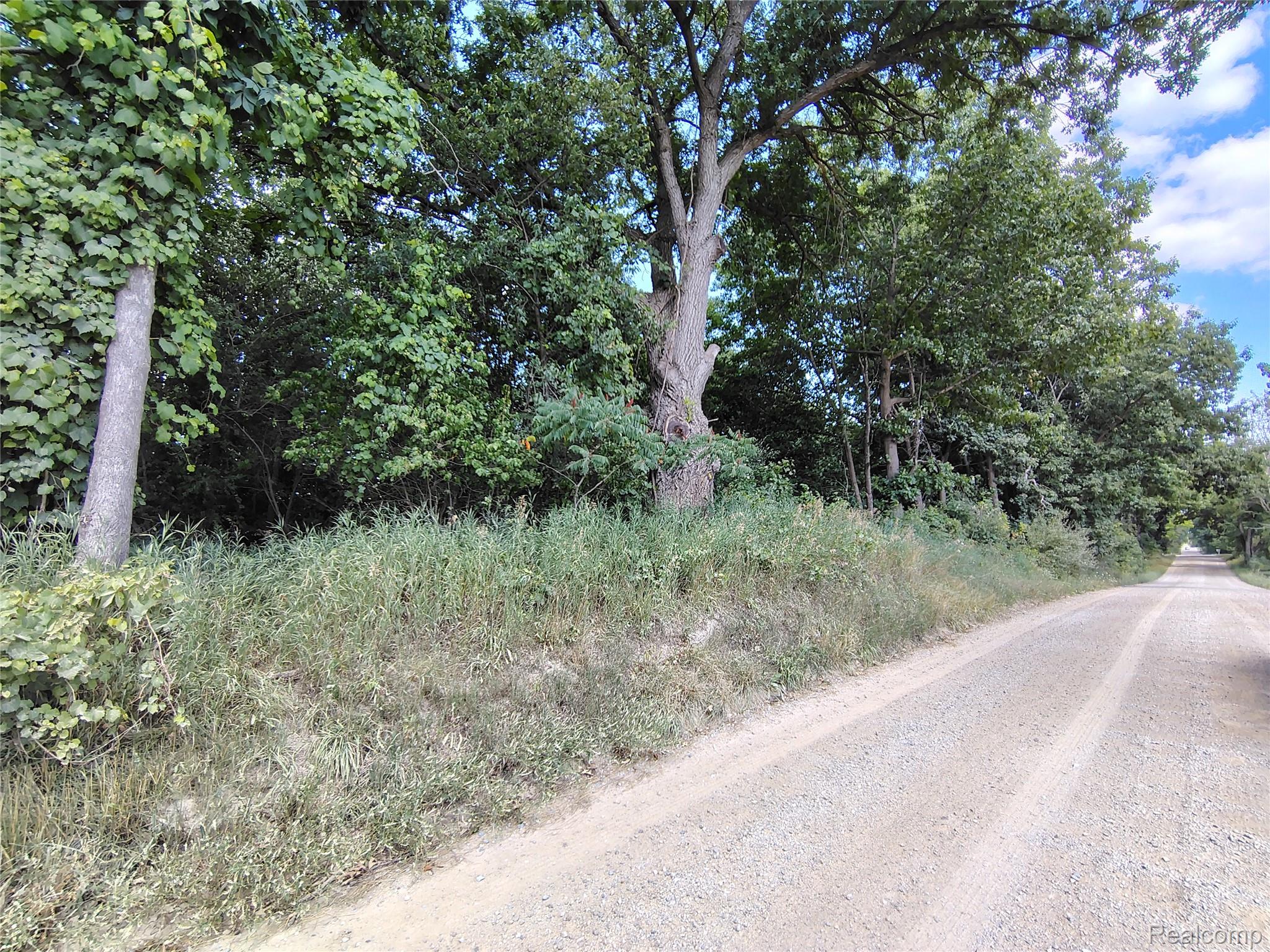 Parcel D Brigham Road