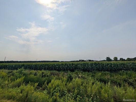 BROWN RD, AVOCA, MI 48006 - Image c3611dcb34dfecd940f27afcc6f9830e/3748308158