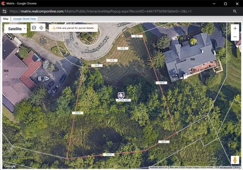 1733 N Morningside Way Drive Bloomfield Hills City MI 48302