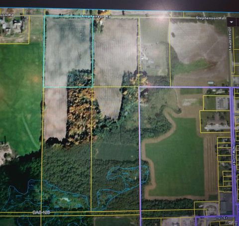 10000 Stephenson Rd Blk Road Onsted Village MI 49265