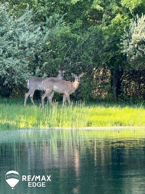 Tiny photo for 2037 E Grand Blanc Road, Grand Blanc Charter Township, MI 48439 (MLS # 5050201471)