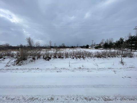 2969 Reeves Road Riley Township MI 48041