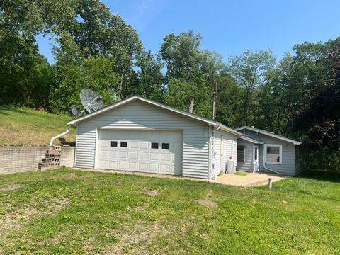 919 Nature Lane Kinderhook Township MI 49255