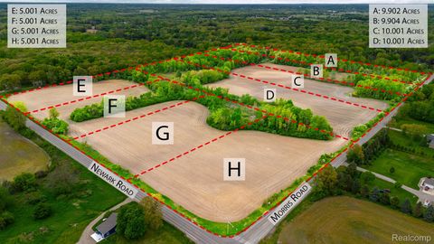 Lot G Newark Lapeer Township MI 48446