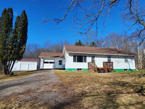 7495 E McBrides Road Ferris Township MI 48829