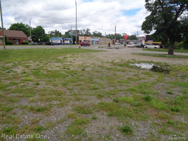 12919 W 7 Mile Road