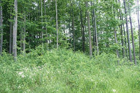 8877 Cedar Creek Drive Springvale Township MI 49770