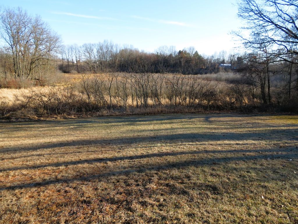 listing image 50