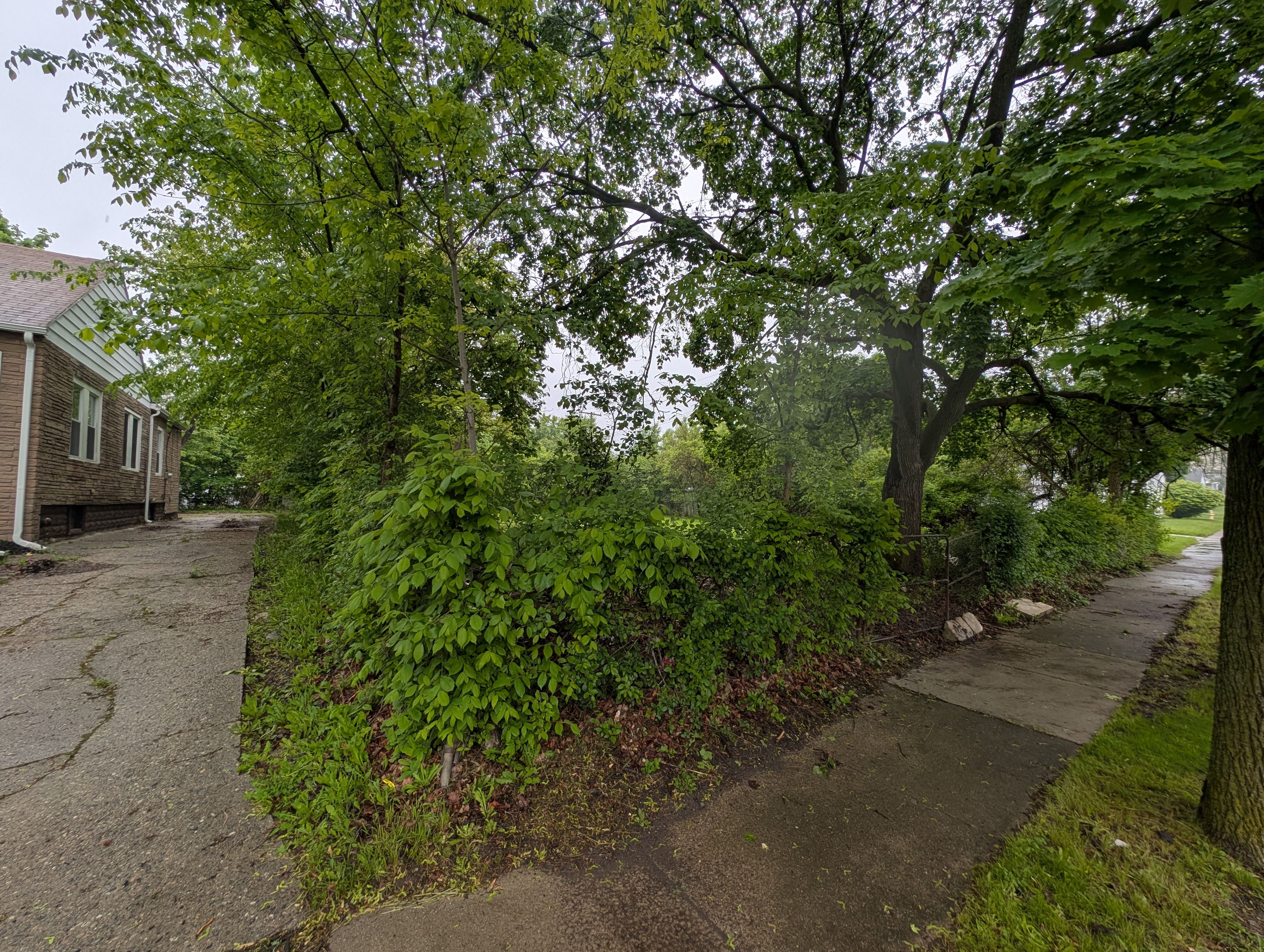 256-2 CEDARDALE Avenue