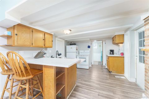 Tiny photo for 223 S Summit Street, Webberville Village, MI 48892 (MLS # 20261002536)