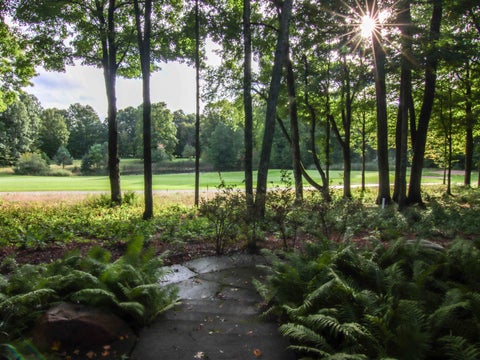 Tiny photo for 11645 Overlook Circle, Weldon Township, MI 49683 (MLS # 78080074495)
