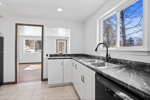 Tiny photo for 905 N Bridge Street, Forest Home Township, MI 49615 (MLS # 78080065516)