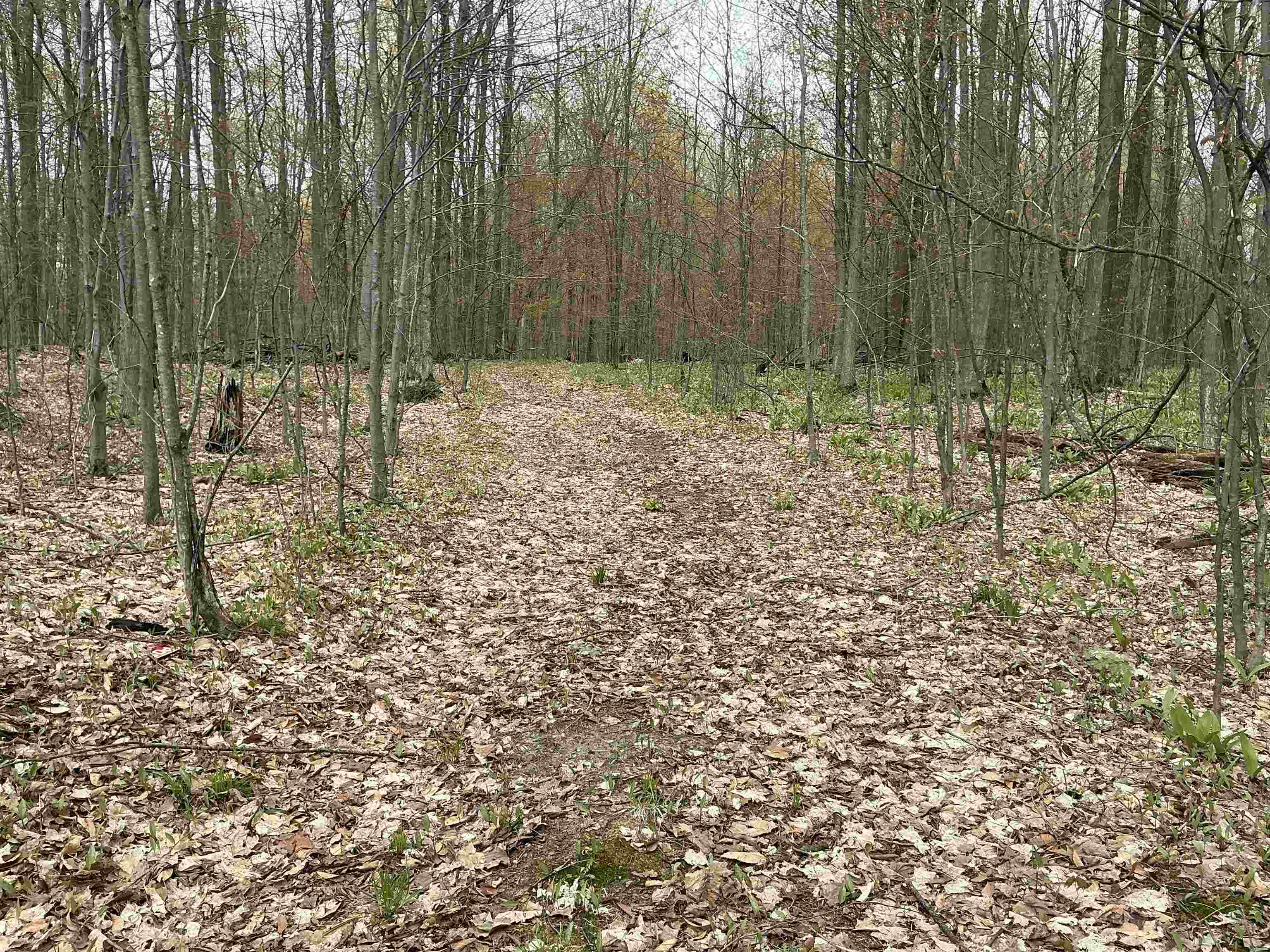 20 Acres Zimmerman Road