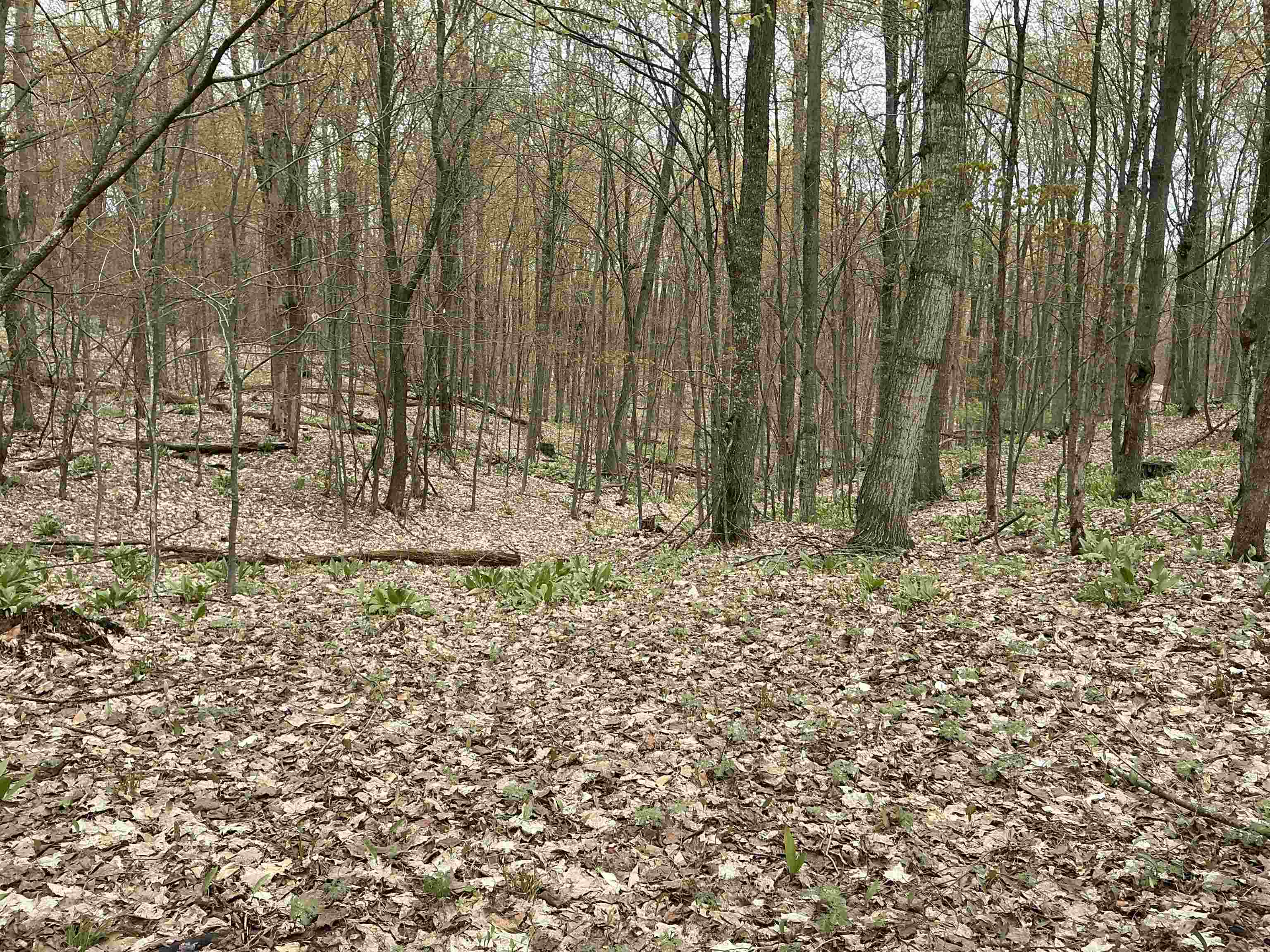 20 Acres Zimmerman Road