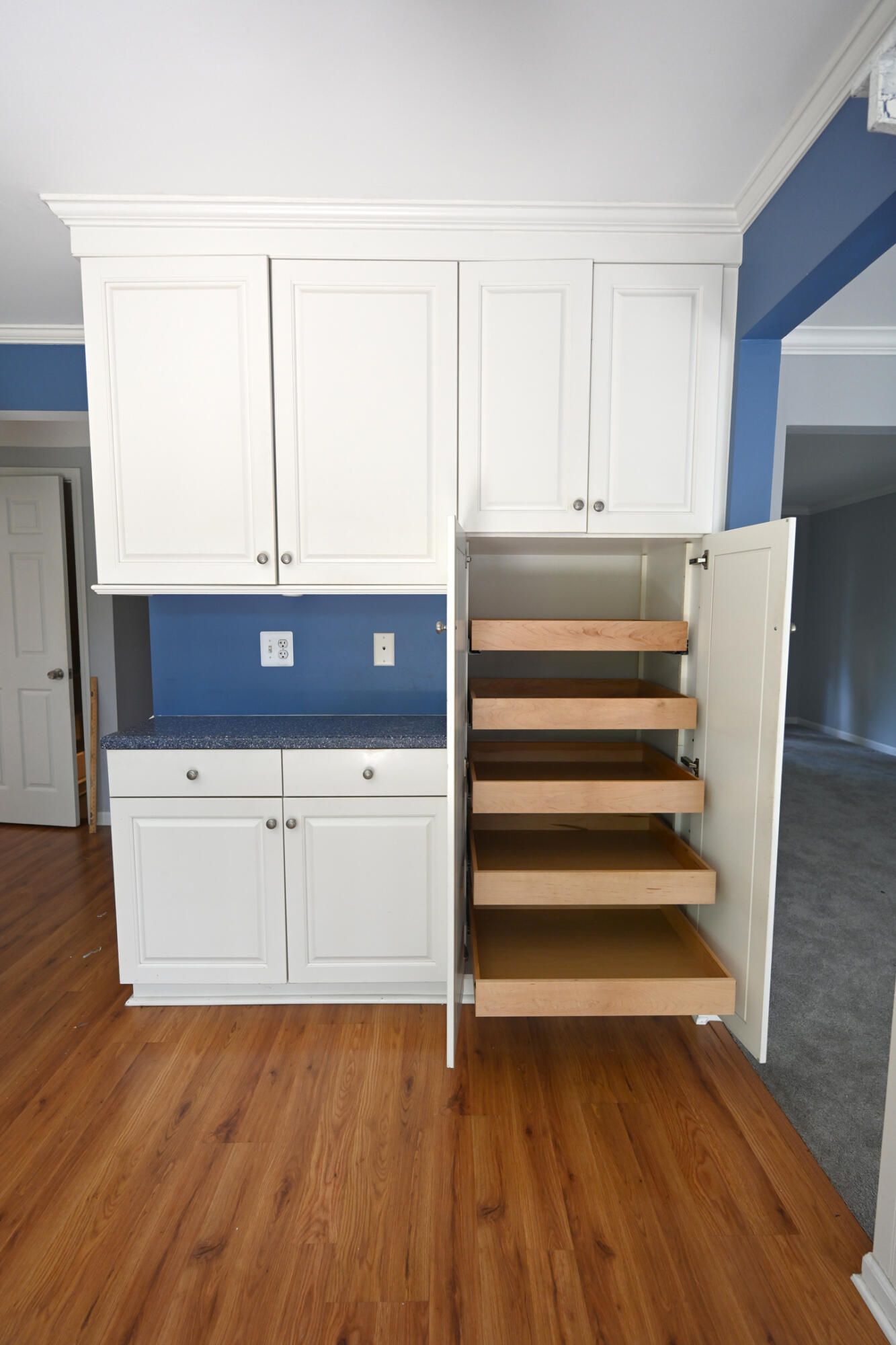 24738 Christina Lane