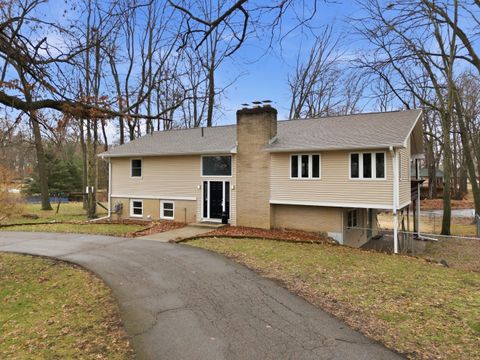 8198 S 24th Street Pavilion Township MI 49048