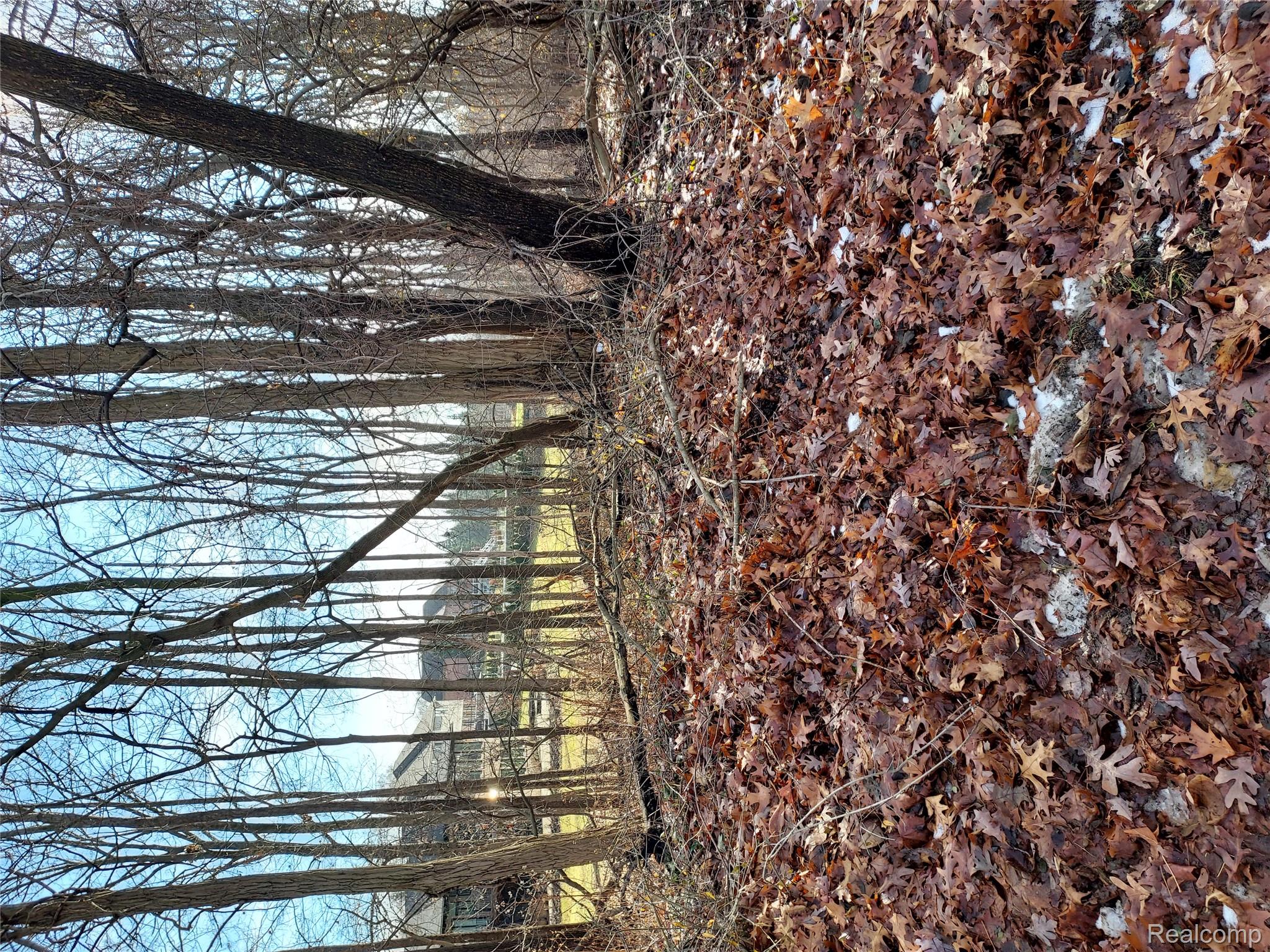 (Parcel ID: 1906451059) Hamilton