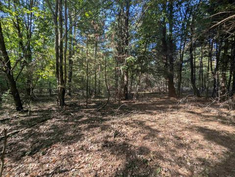 N/A N Forest Lake Drive Moffatt Township MI 48610