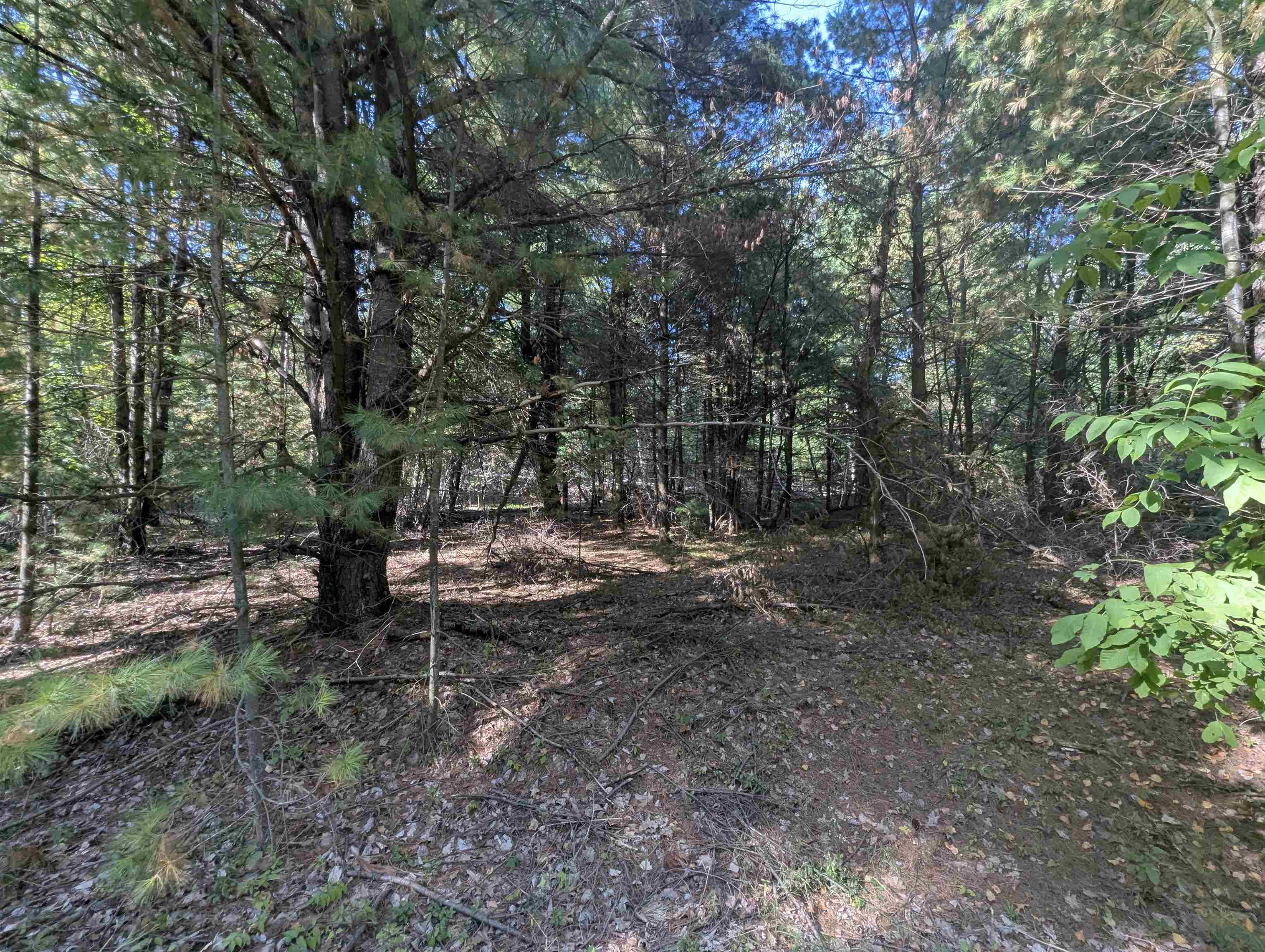 N/A N Forest Lake Drive