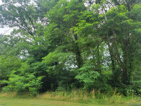 Lot 32 - Pinemont Hamburg Township MI 48116