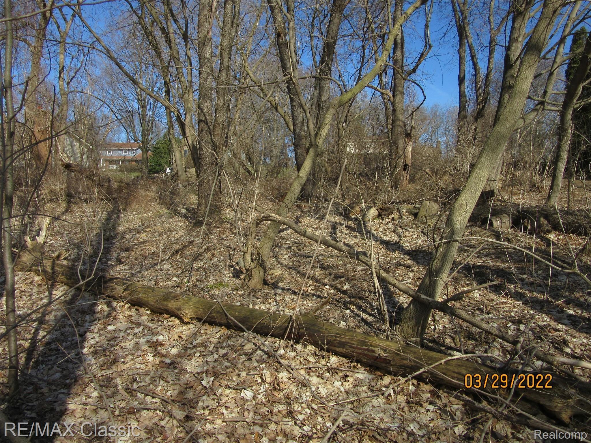 Lot 19 Milford Heights