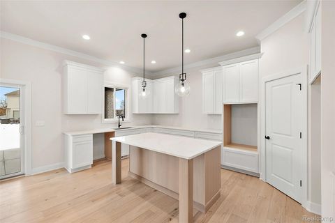 Tiny photo for 35542 Addison Drive, New Baltimore City, MI 48047 (MLS # 20251060750)