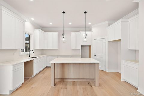 Tiny photo for 35542 Addison Drive, New Baltimore City, MI 48047 (MLS # 20251060750)