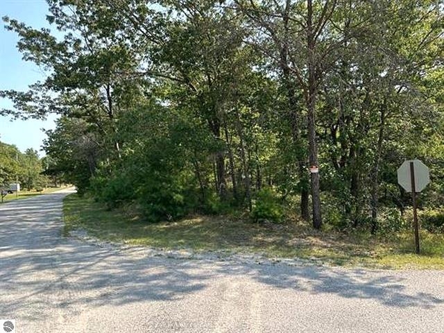 00 Wintergreen Street