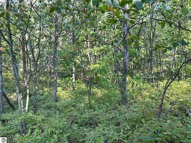 00 Wintergreen Street