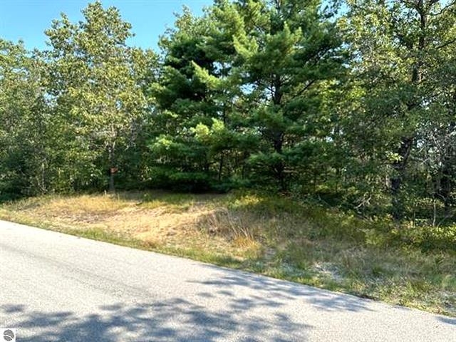 00 Wintergreen Street