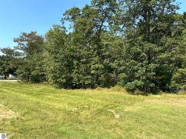 00 Wintergreen Street