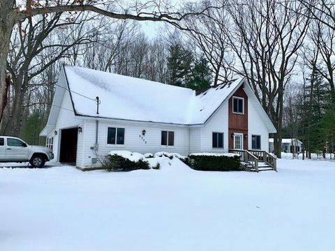 6256 W Dewey Road Hamlin Township MI 49431