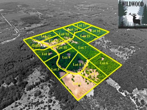 10732 SW Pine Ridge Drive Springfield Township MI 49633