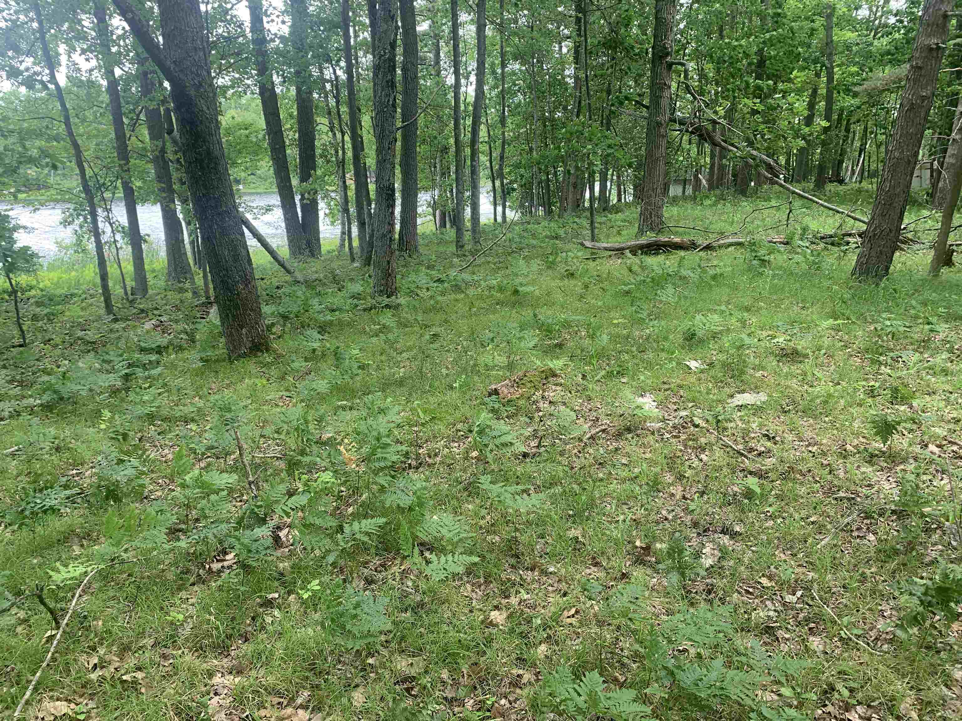 00 Wildwood Court