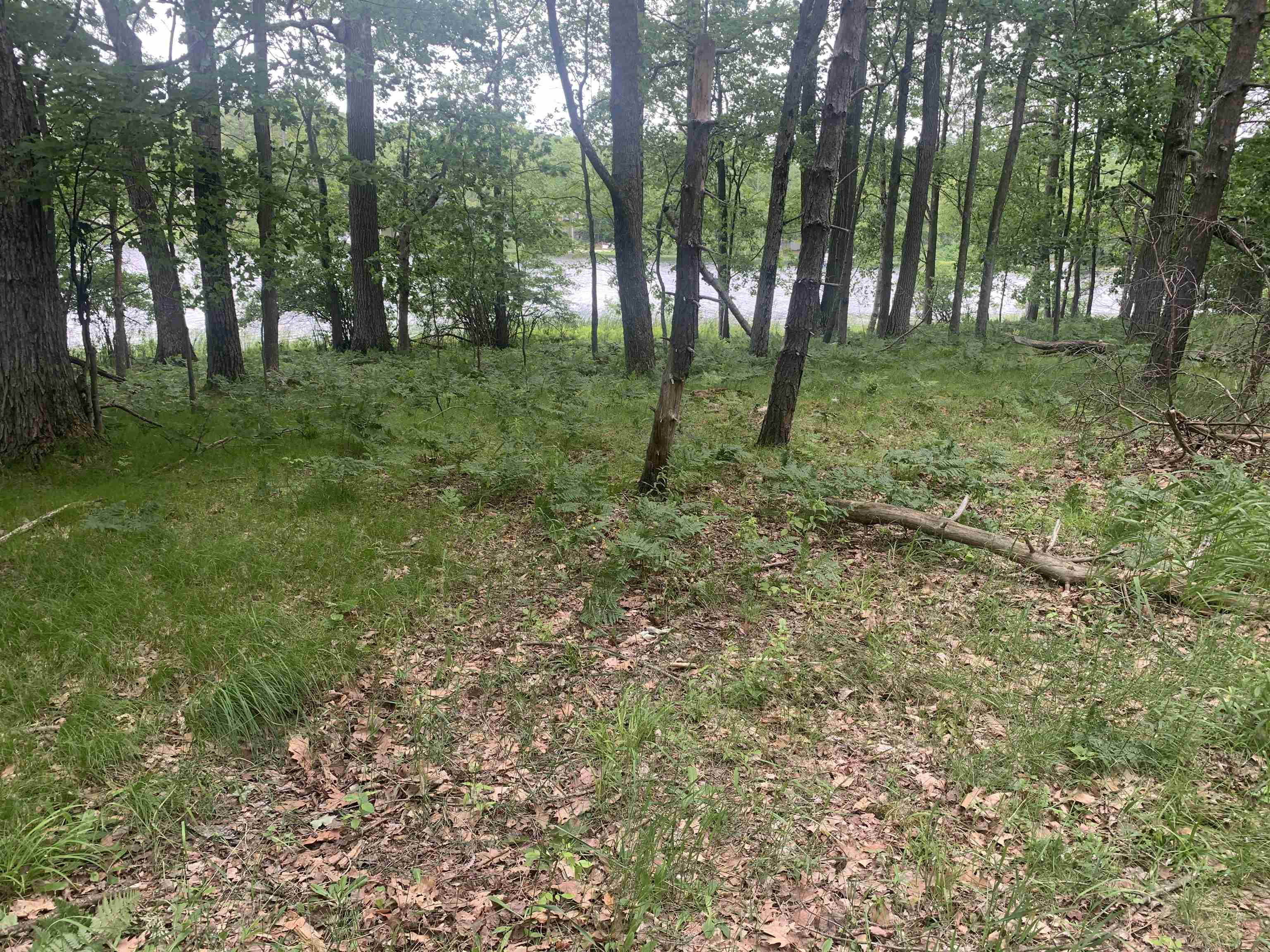 00 Wildwood Court