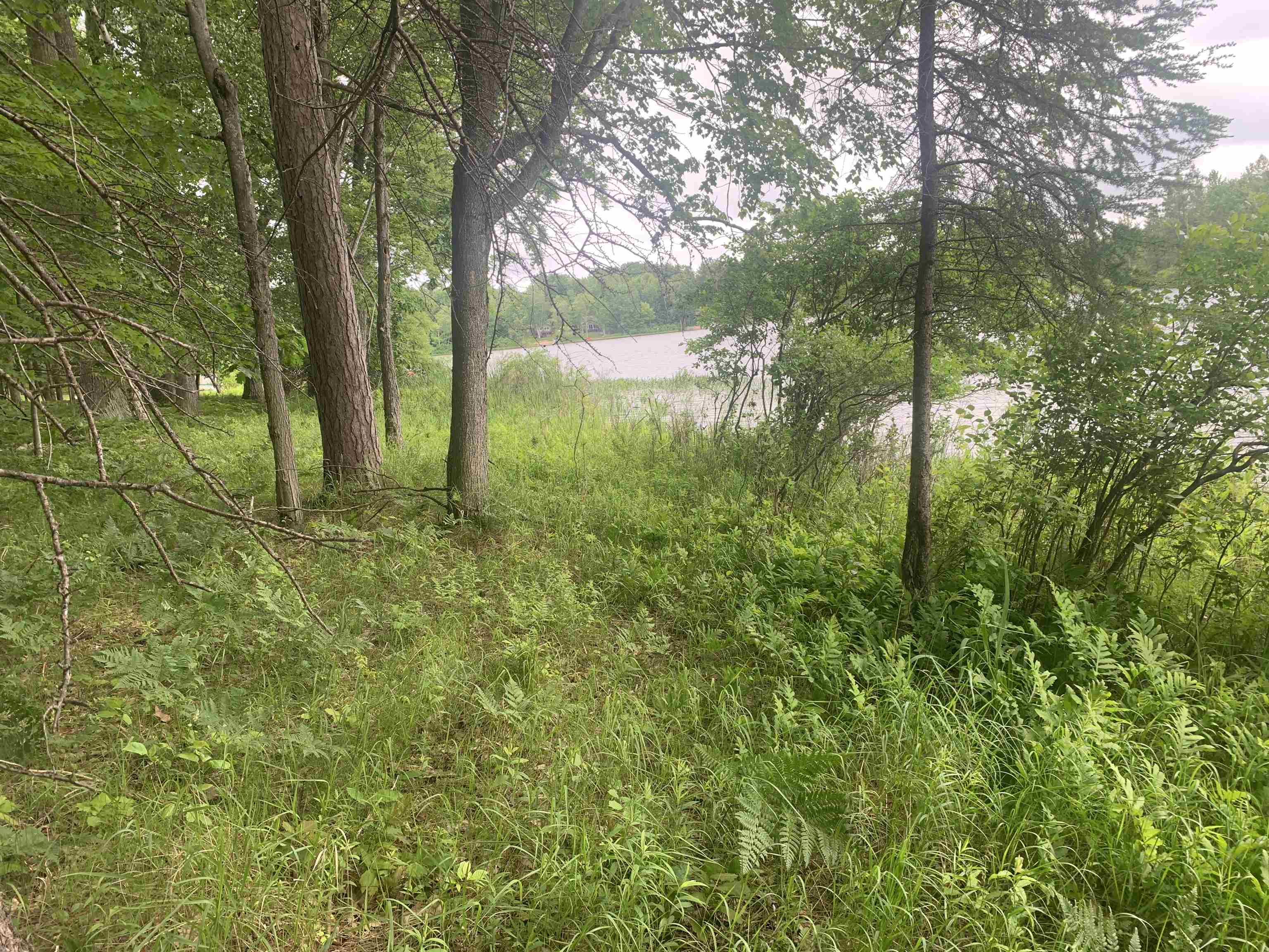 00 Wildwood Court
