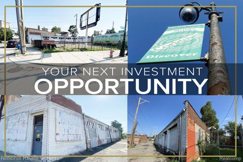 2381 17TH Street Detroit City MI 48216