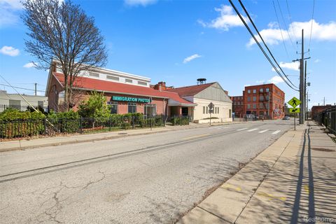 260 Mount Elliott Street Detroit City MI 48207