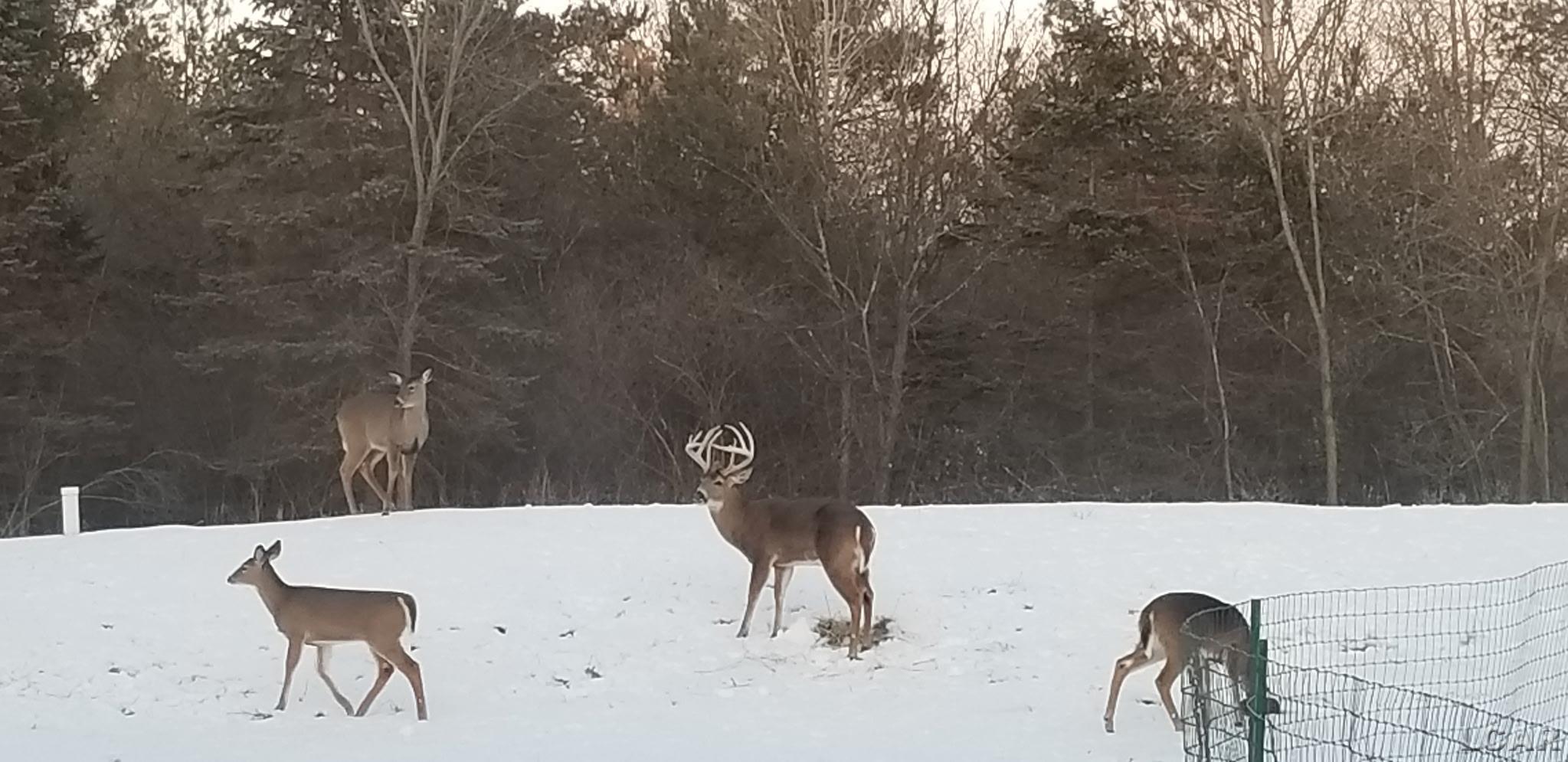 100 BLK Pleasant Drive