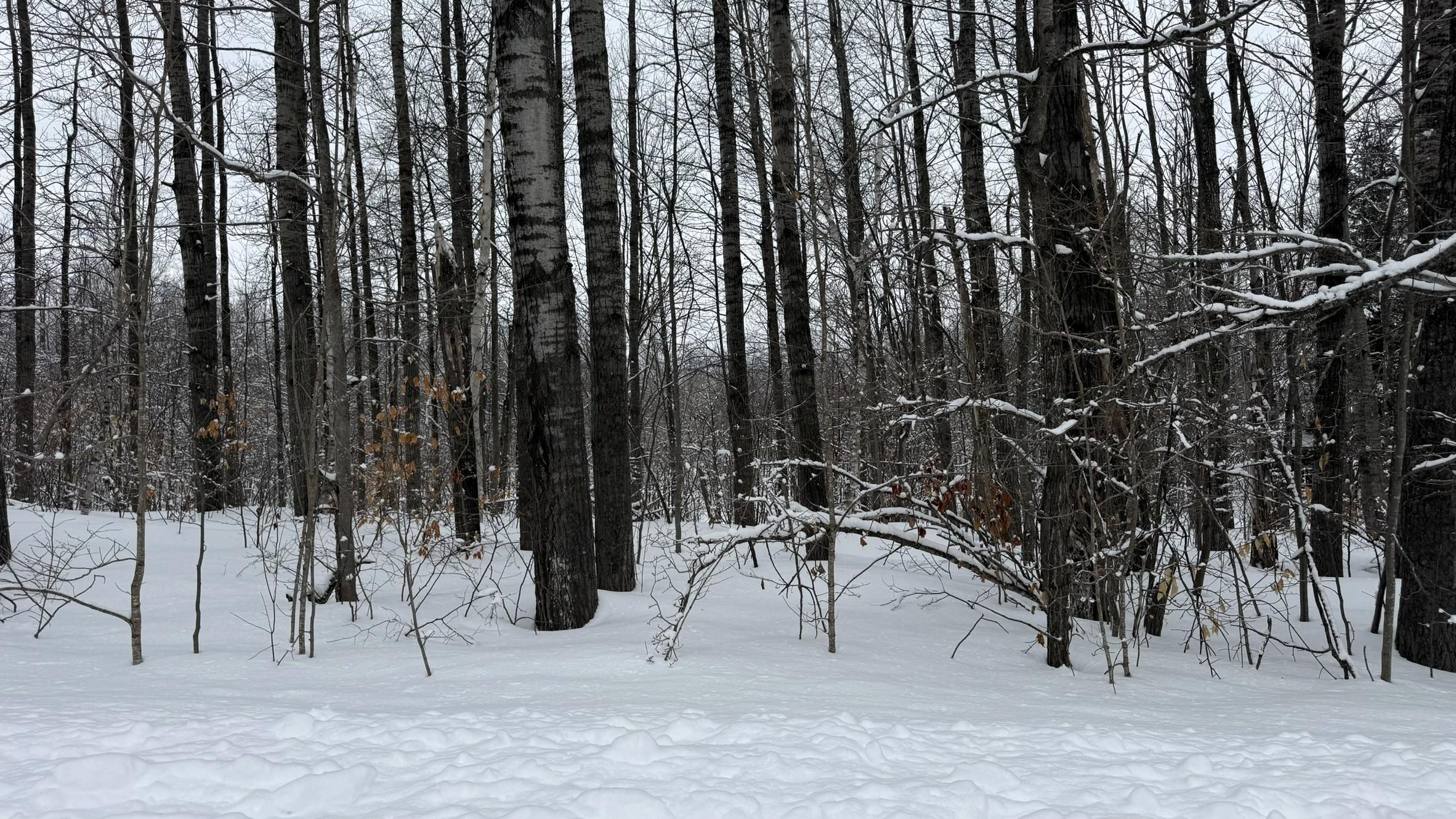 Lot 35 Wilderness Drive