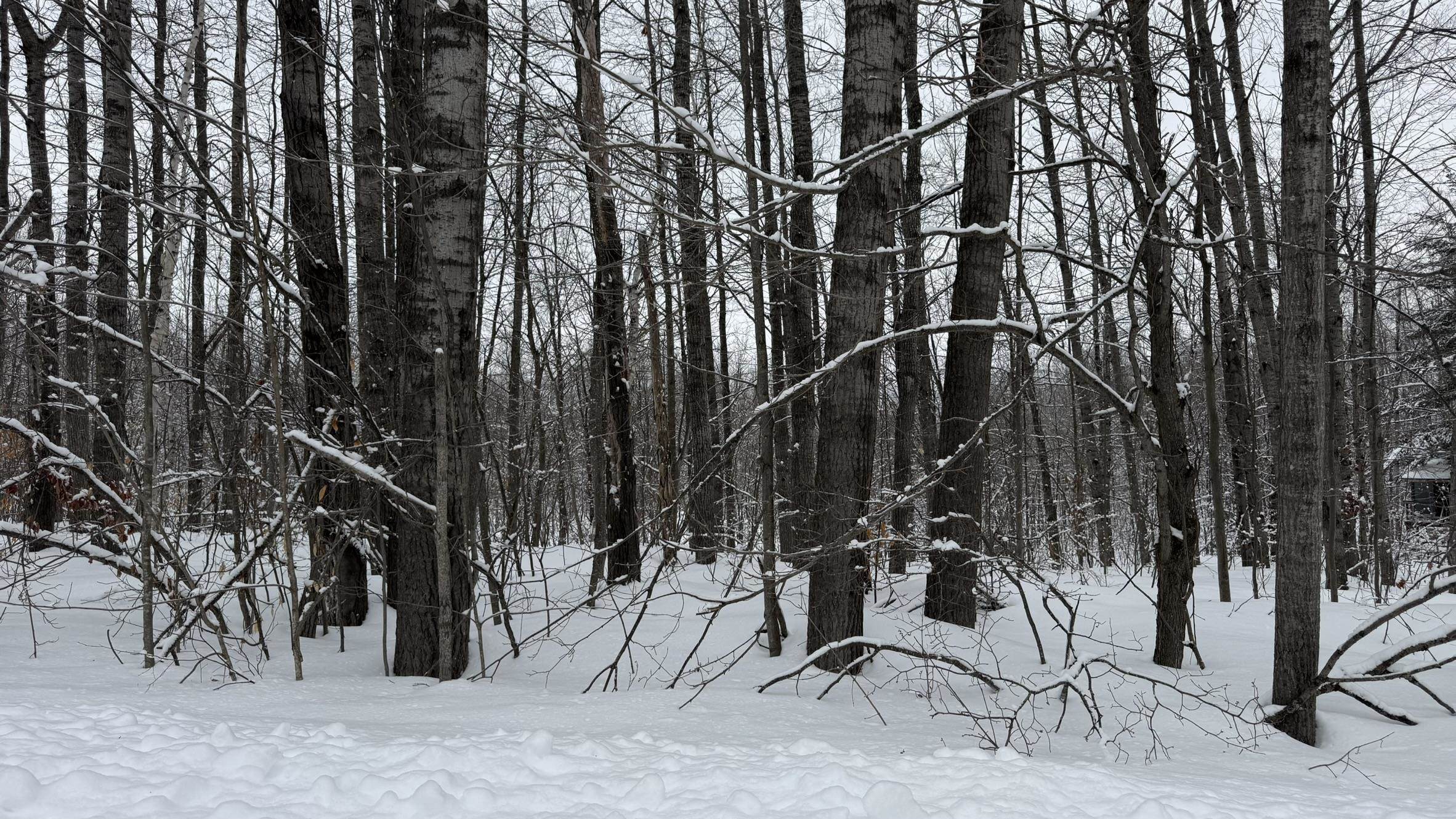 Lot 35 Wilderness Drive
