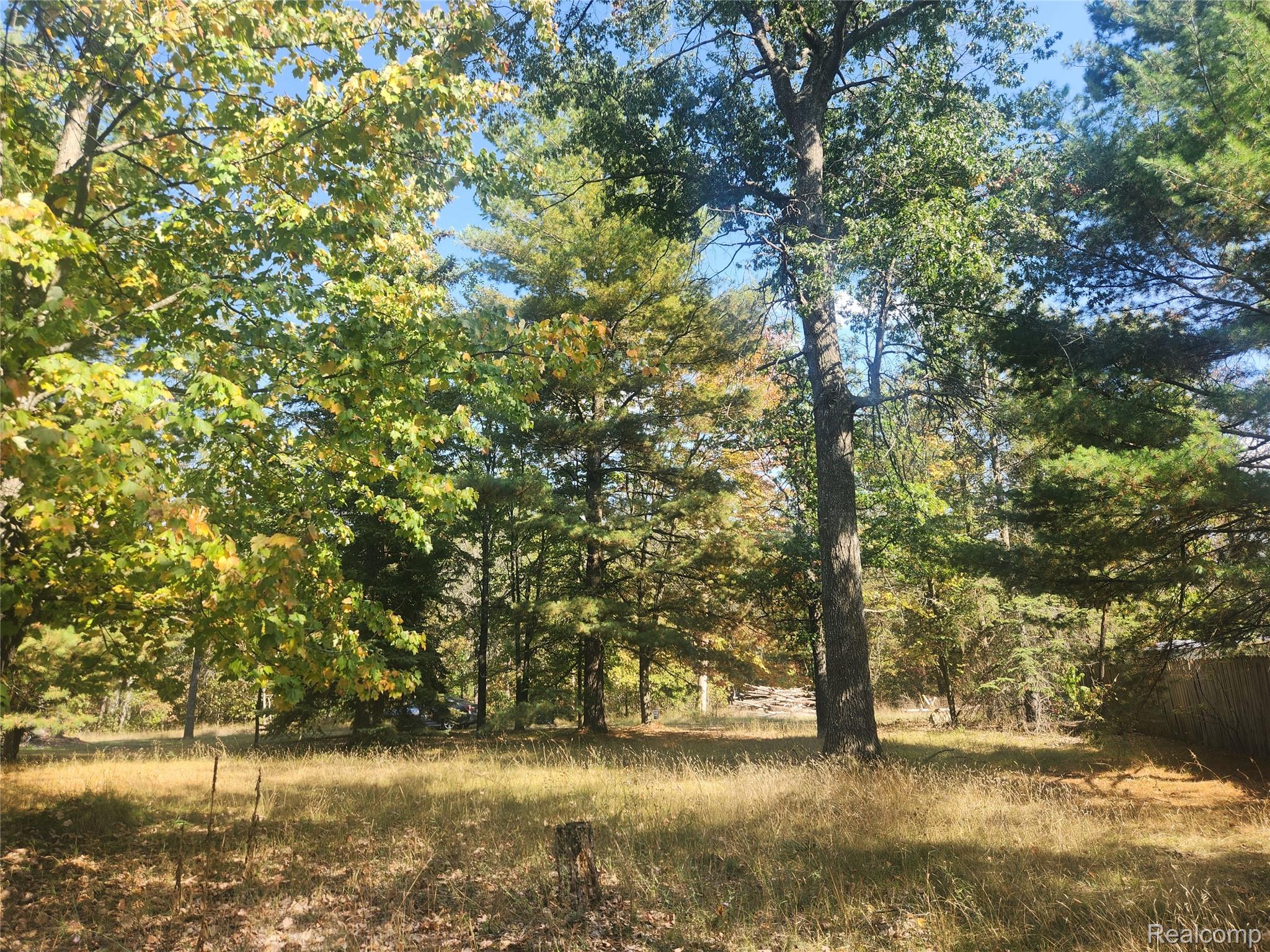 000 Kelly-Marie Ct. Court