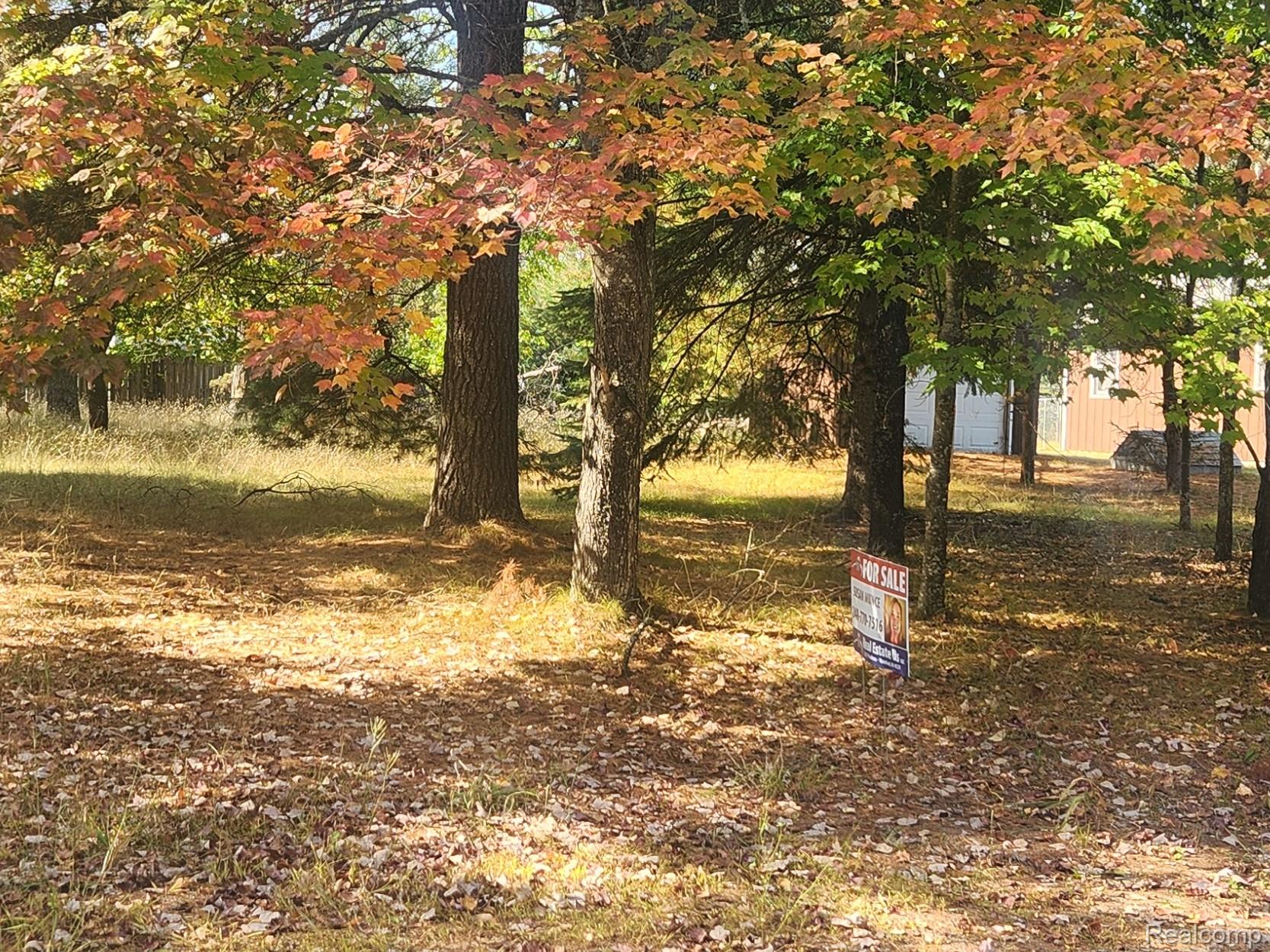 000 Kelly-Marie Ct. Court