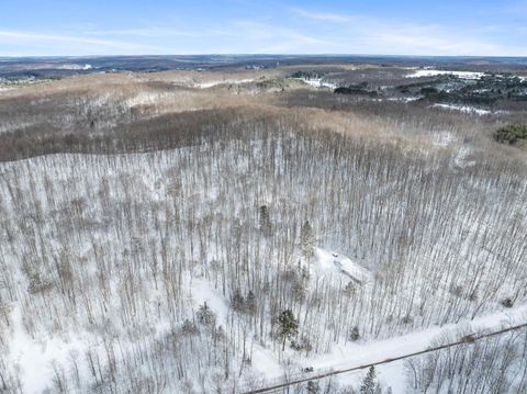 2370 Alden Highway Custer Township MI 49659