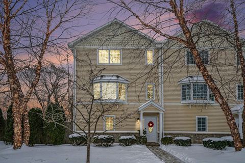 217 W Merchant Street New Buffalo City MI 49117