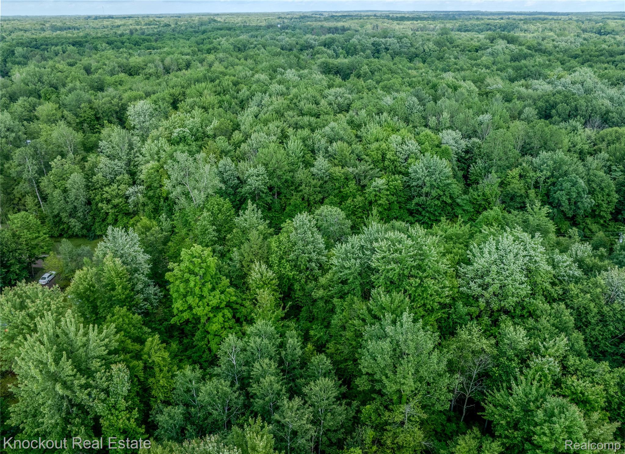 #0047 V/L Maplegrove Lane