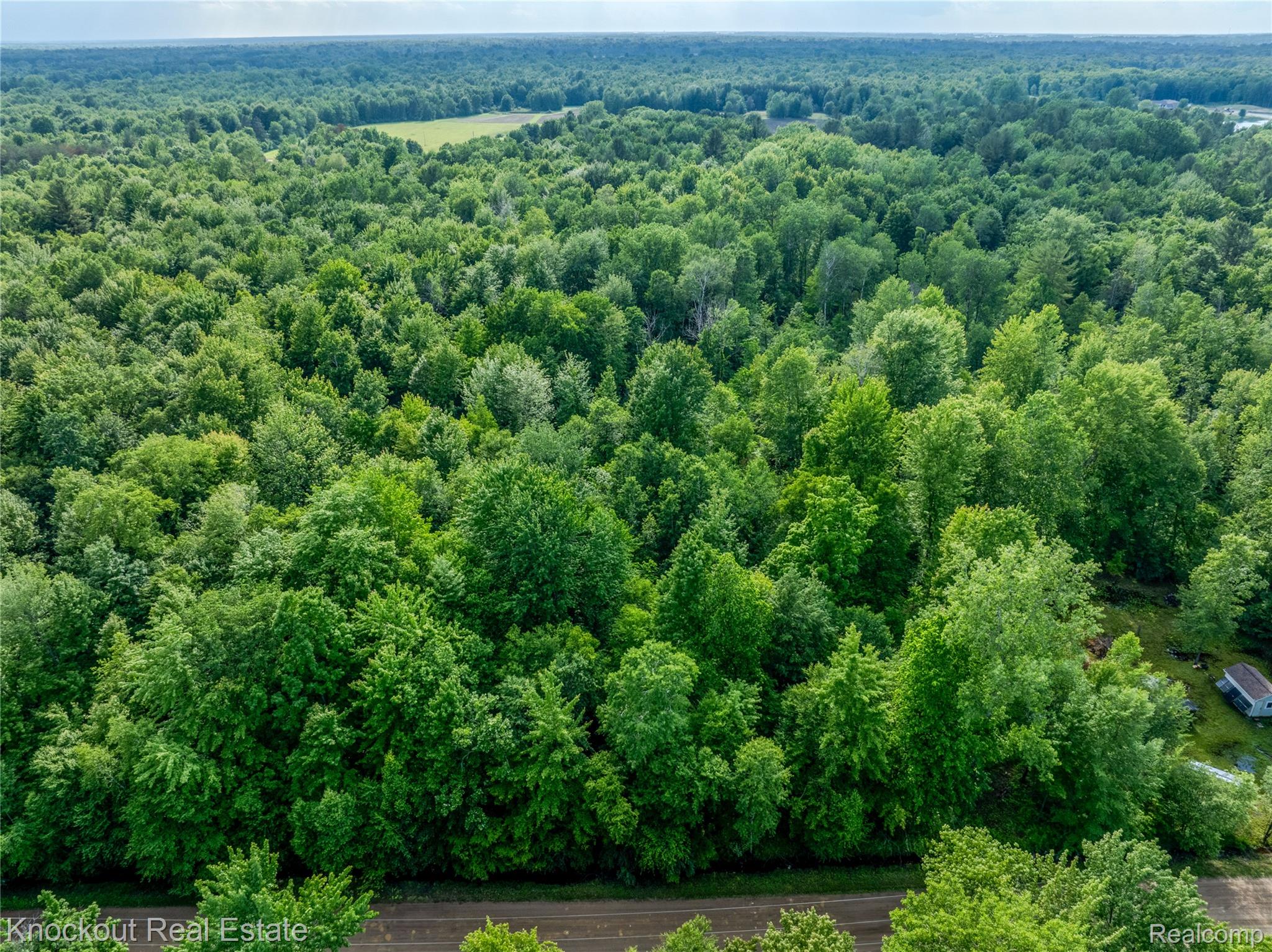 #0047 V/L Maplegrove Lane