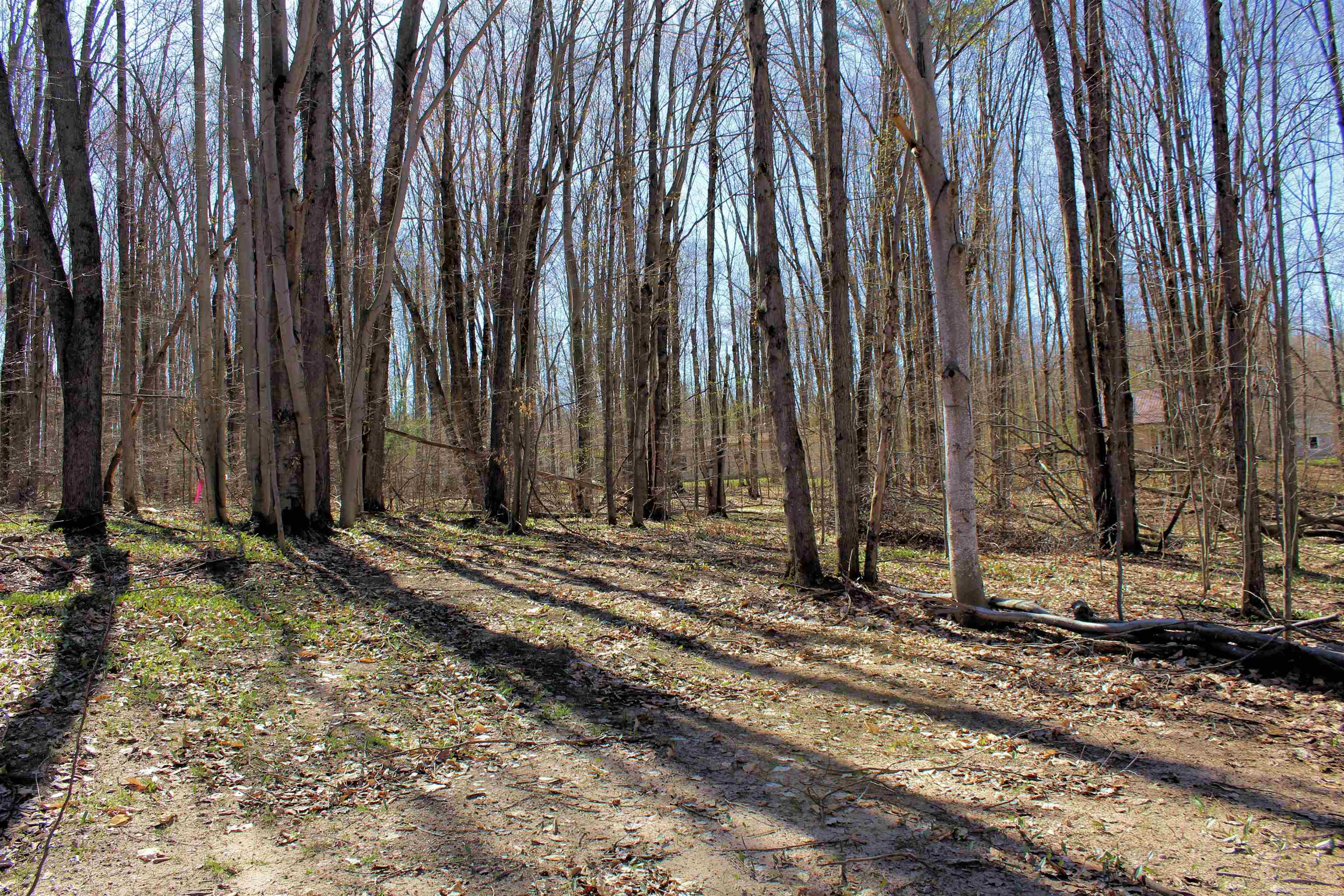 00 NE Chwastek Road