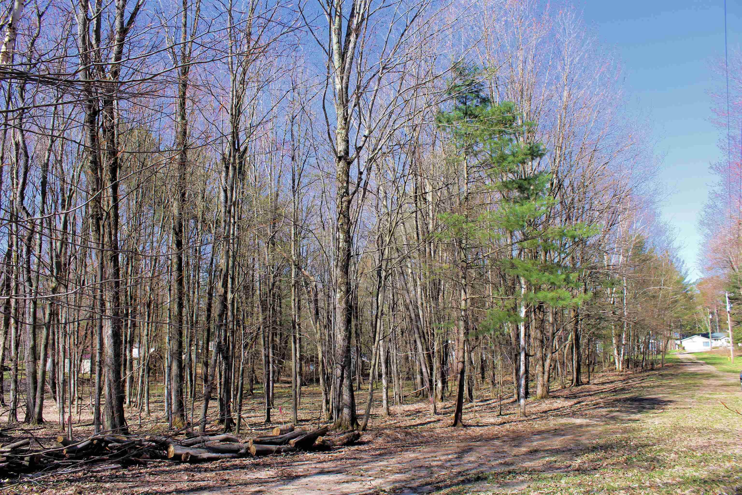 00 NE Chwastek Road