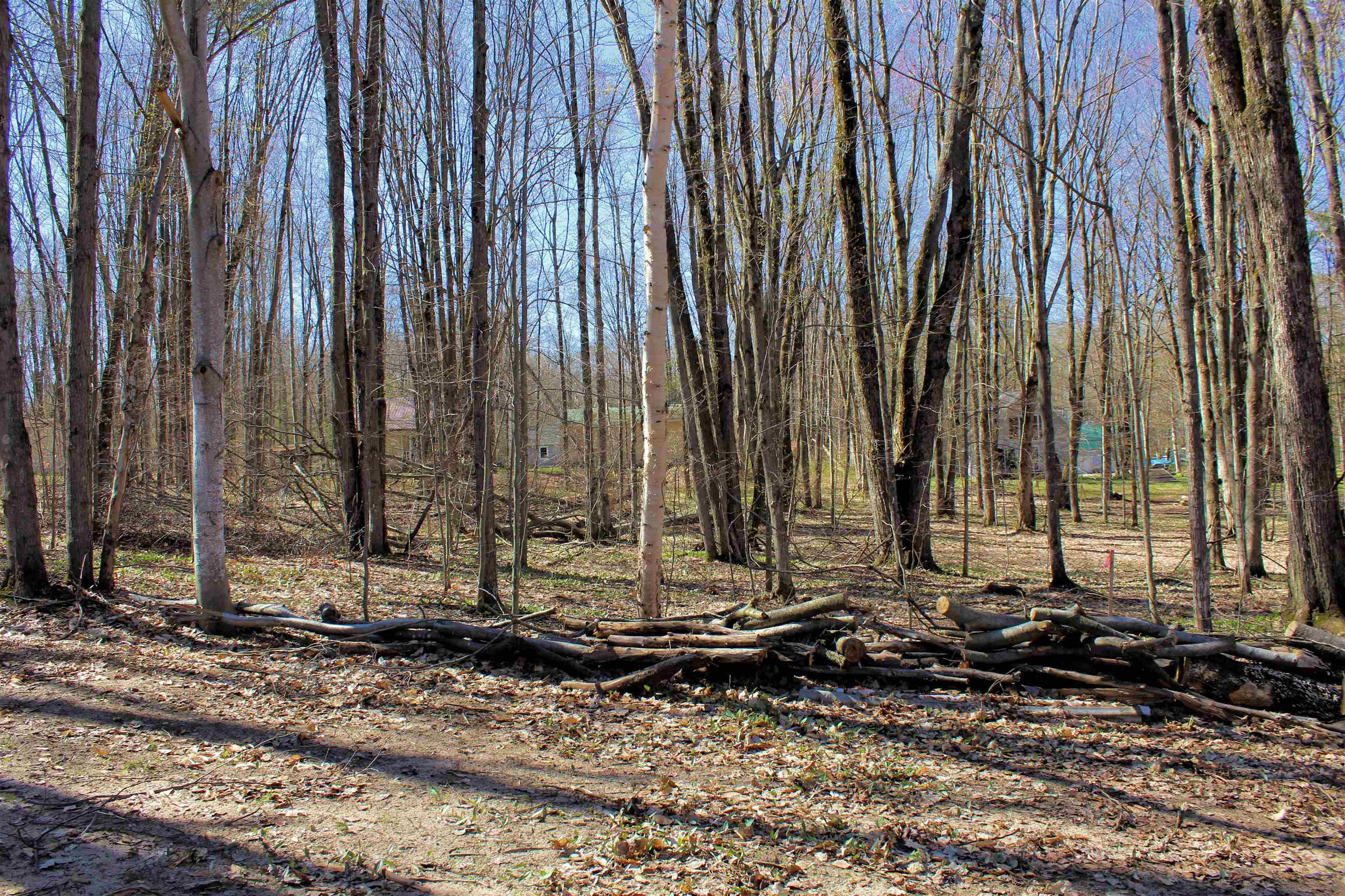 00 NE Chwastek Road
